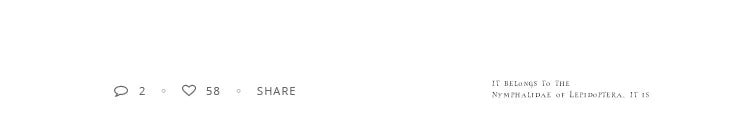 High Quality Pearl Zircon Gold Color Rings For Woman 2025 New Fashion Korean Jewelry Luxury Party Adjustable Unusual Girl's Ring